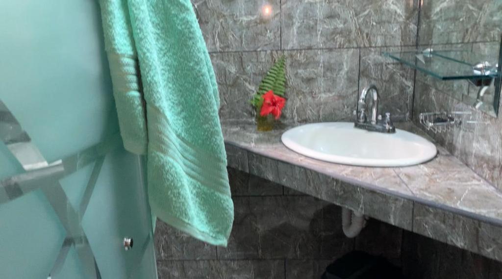 Casa Mambo Bed & Breakfast Cahuita Dış mekan fotoğraf